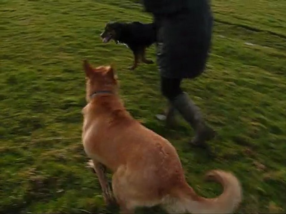 fanny zyon s eclatent