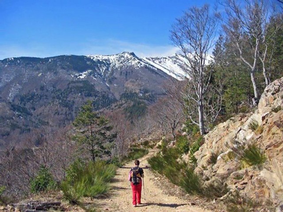 LA CHAPELLE ST-GUILLEM PAR LA FONTAINE DU BRIGADIER.