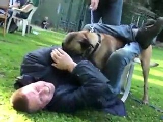 De Doorbijters Zevenaar HD KNPV K9 Policedogs