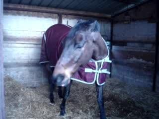 le mal aimable qui mange!!