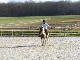 reprise galop3 dressage