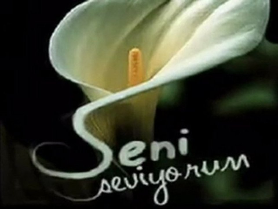 Kayahan-Seni Çok Özledim