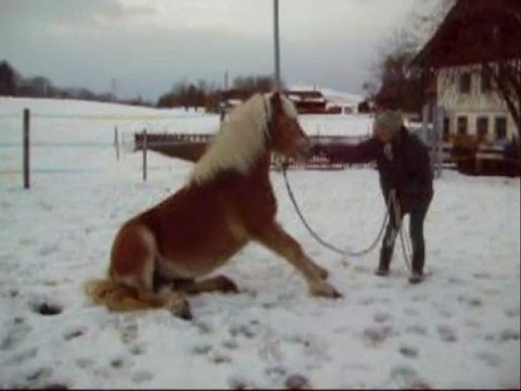 Baïla: le coucher et l'assis