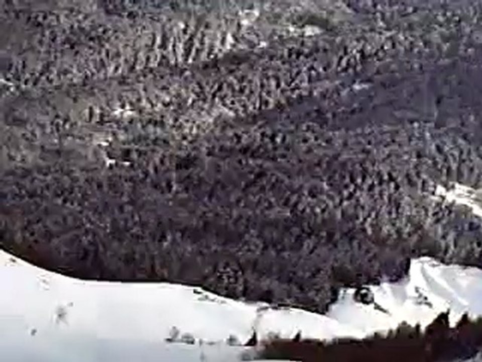 DIGI0293