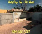 HOLLYYDOGS INN DOG BOARDING KENNEL HOLLYWOOD FLORIDA