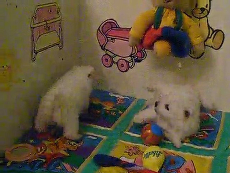 Fuyuki Oujin et F'Aya des Légendes de Yuki Onna