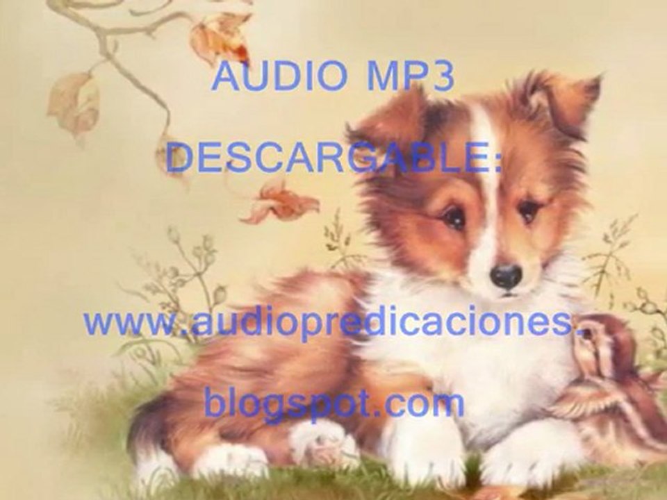 ME LEVANTARE E IRE A MI PADRE (6 de 6, P.Moises Larraga)