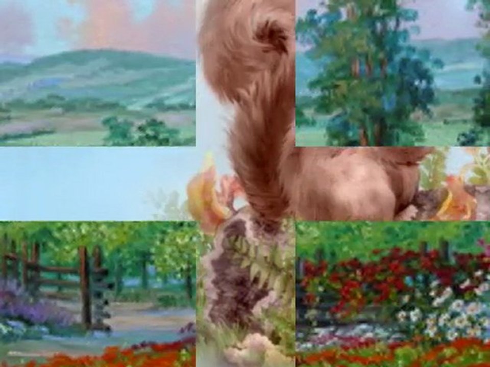 CORONILLA DE LA DIVINA MISERICORDIA (1de3, P.Moises Larraga)