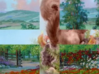 CORONILLA DE LA DIVINA MISERICORDIA (1de3, P.Moises Larraga)