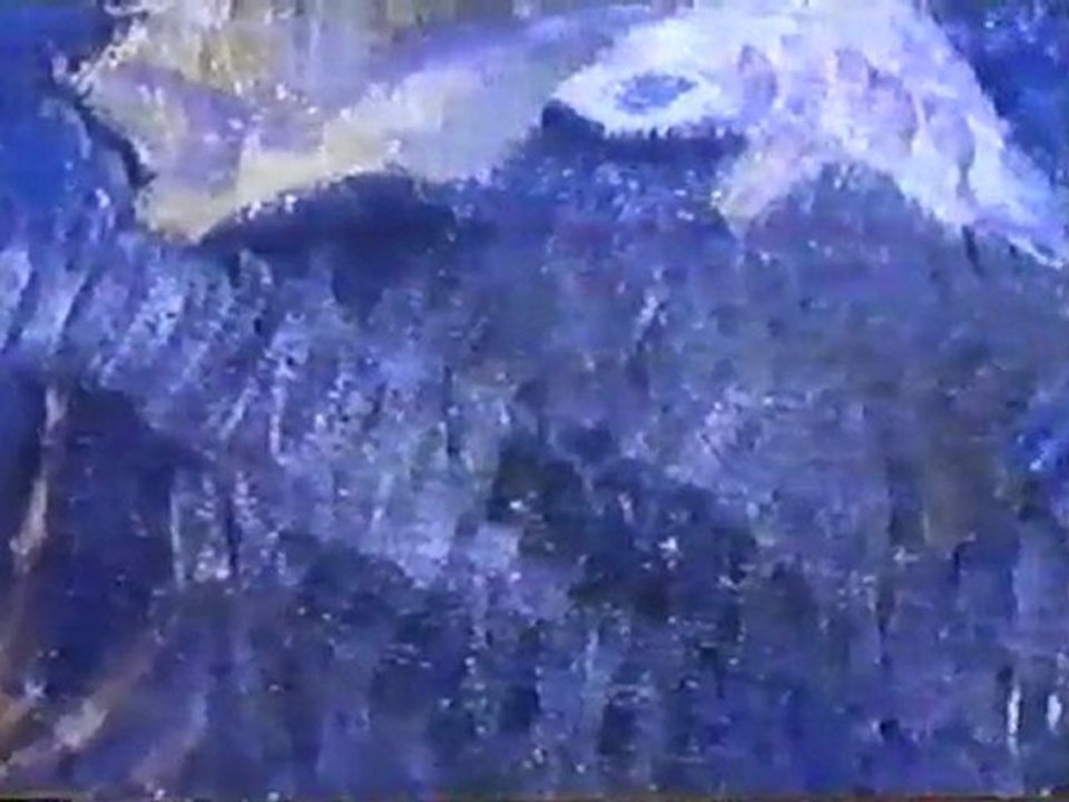 Gauguin 1