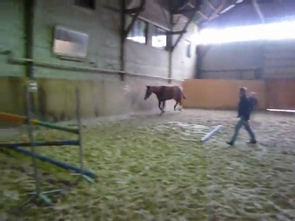 reflet de la cavée