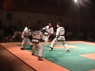 Aigle hapkido Gerstheim 2009