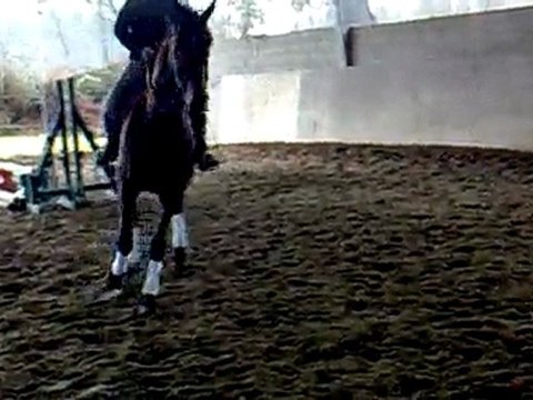 wes fev 2010 etude de la pirouette (18 mois de travail)