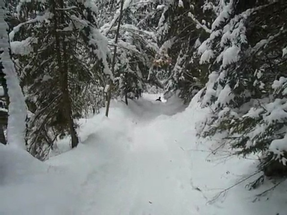14 02 2010 Luge en foret