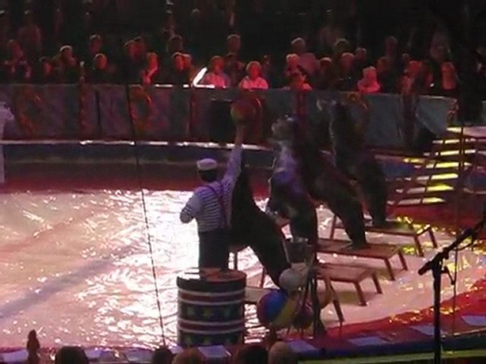 Cirque 10 debut