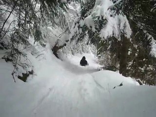 14 02 2010 Luge en foret 7