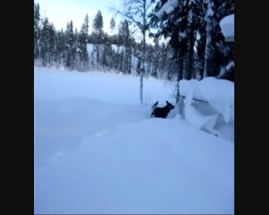 ute med kameran_0001