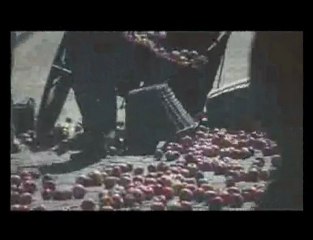 Reklamowaty 057