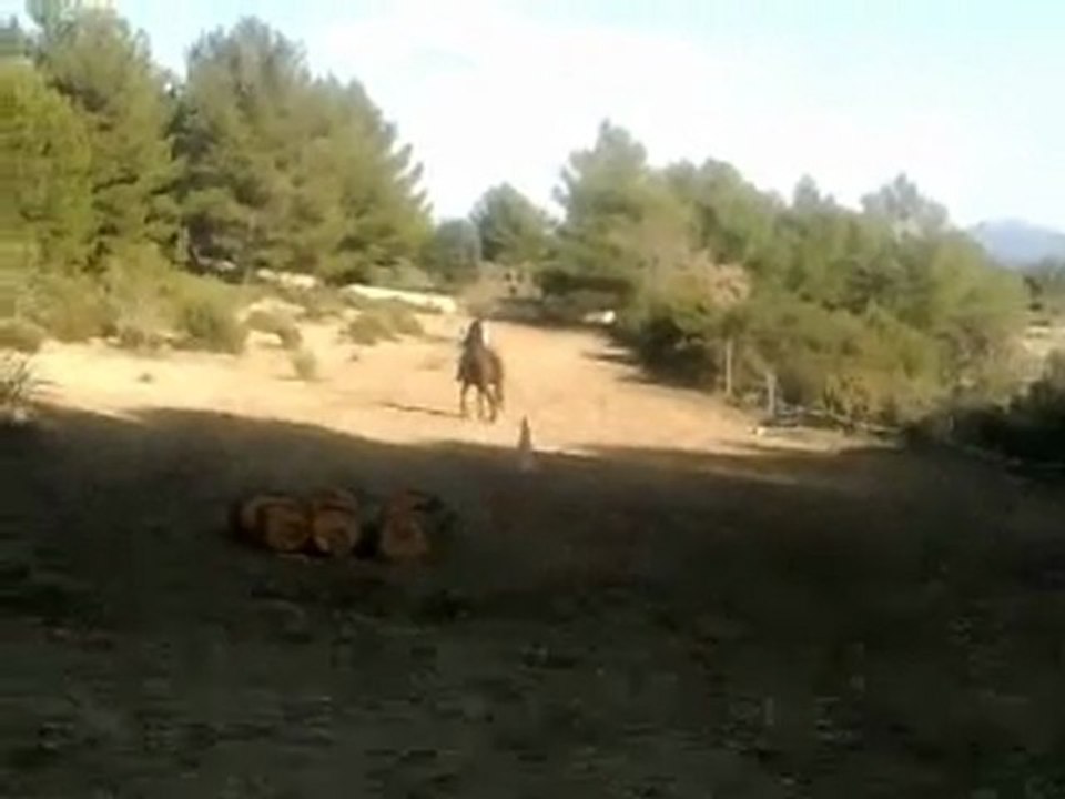 debut de deplacement de hanche