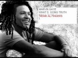 Marvin gaye-What's going truth