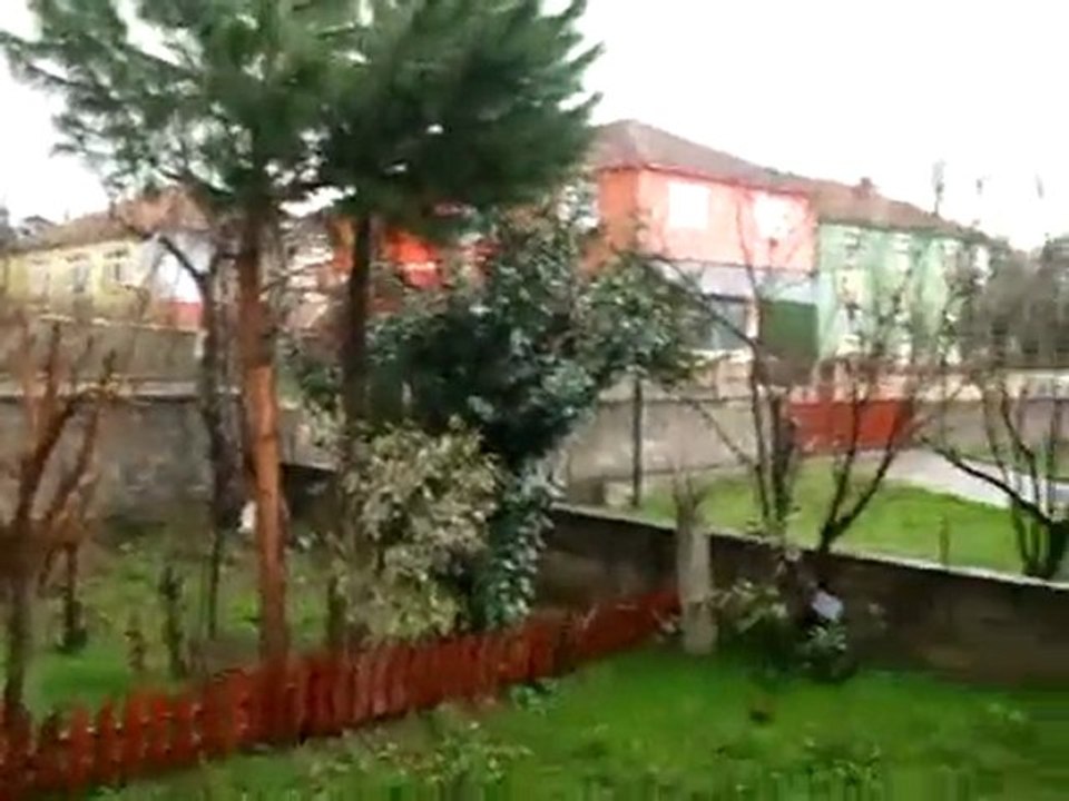 2010-02-21-PAZ