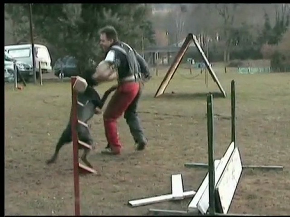 daicko du Bois de Liers travail defense fevrier 2010