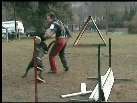 daicko du Bois de Liers travail defense fevrier 2010