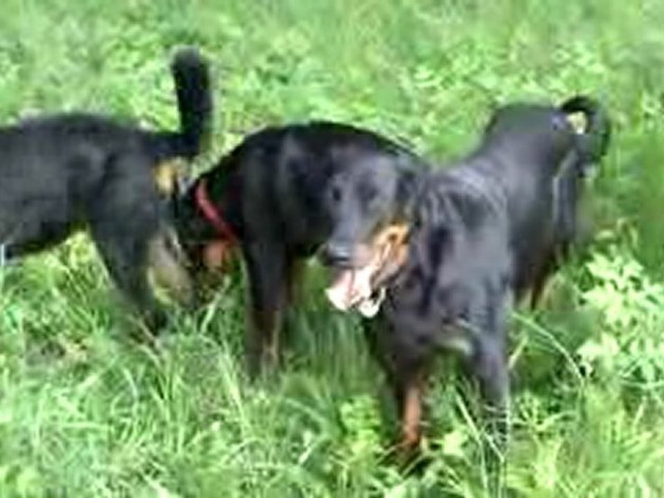 Poids plume, poids lourd Partie 2