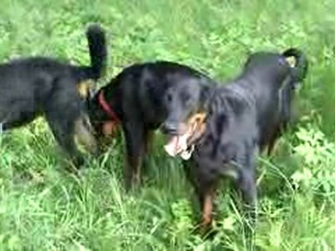 Poids plume, poids lourd Partie 2