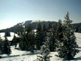 Randonnée raquettes à neige au Feldberg(1493m) du 16.02.10