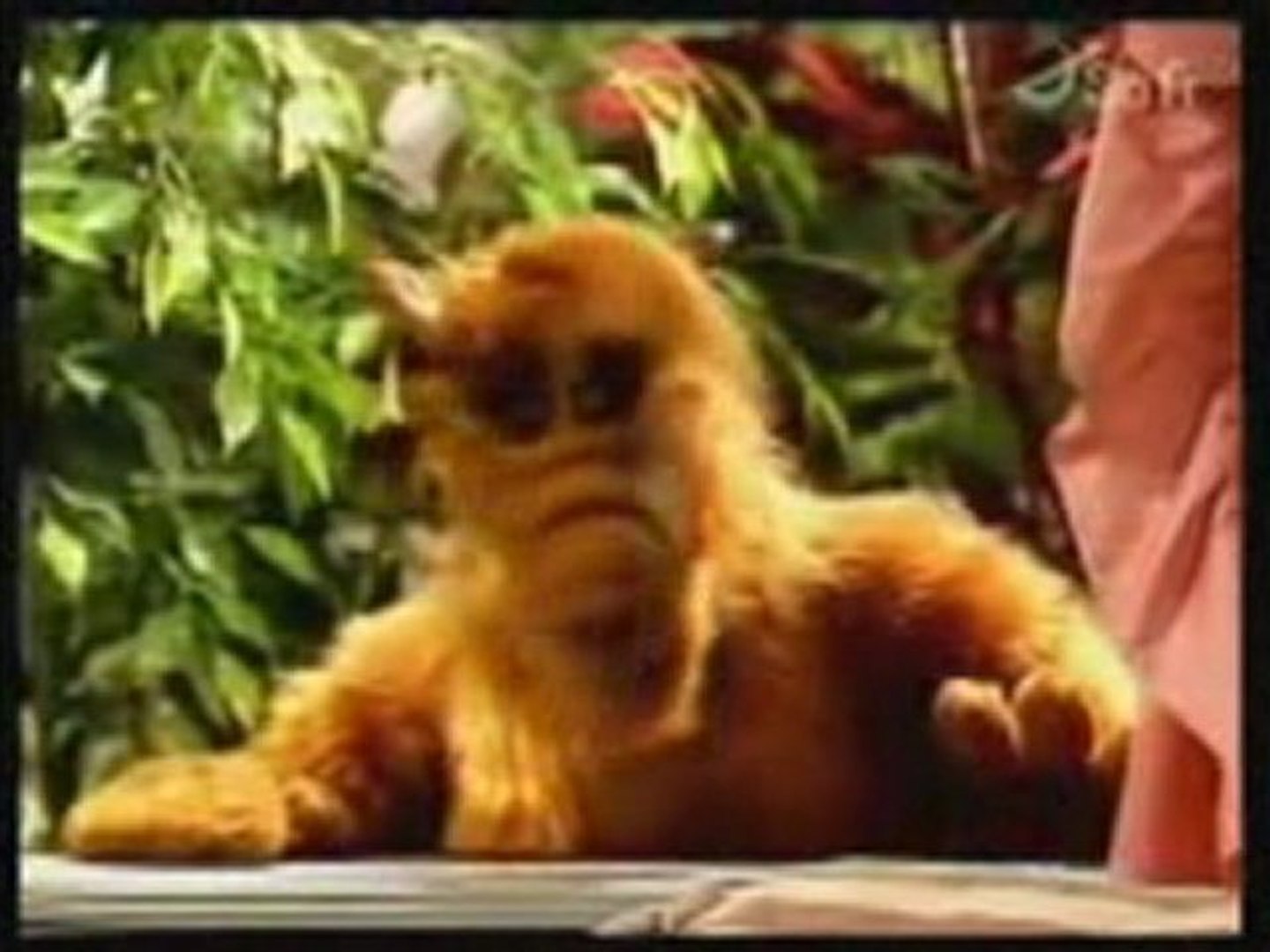 Alf] Alf et les chats - Vidéo Dailymotion