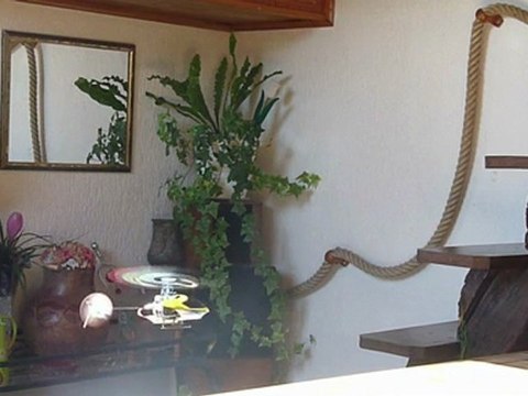 Walkera CB 100 upgrade stability