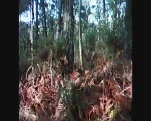 VTT Dimanche 21 Février Partie technique Foutet Guipry