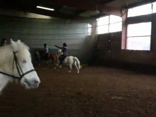 Claire & Chypre: Les Meilleurs (LL)