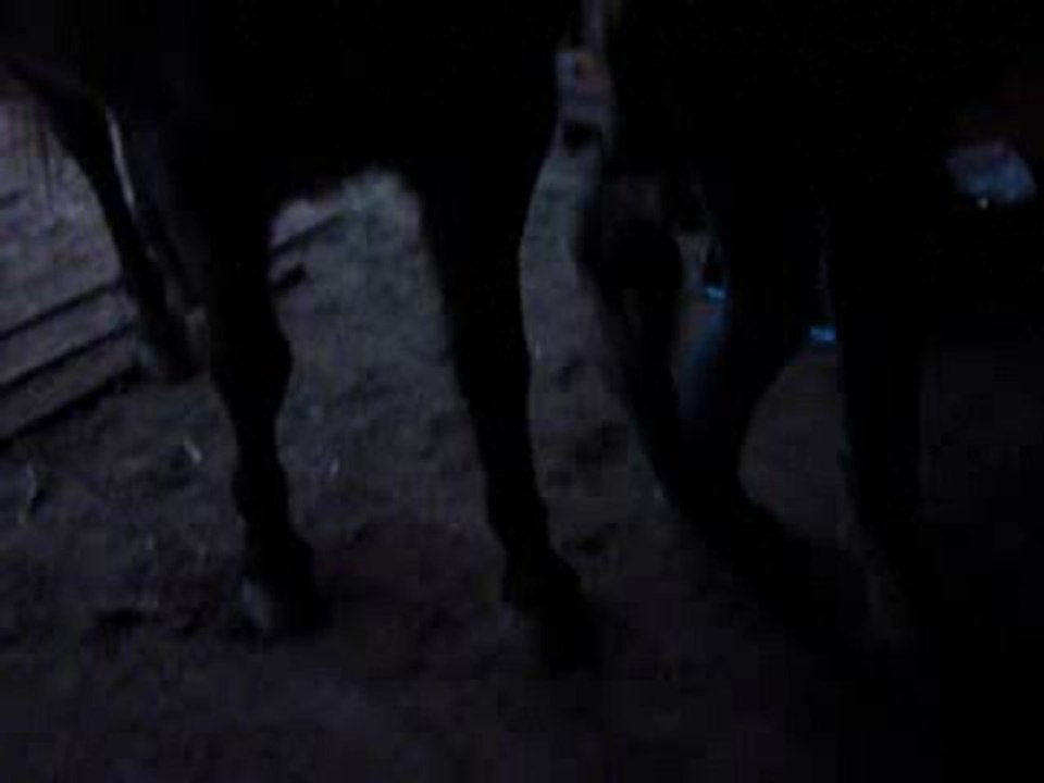 croisés et jambettes avec Merin'