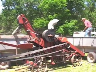 Homesteading & Farming Activities