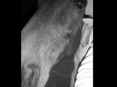 Inti. Plus qu'un cheval. Un confident. Un ami. L & I ♥