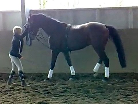 wes fev 2010 pas espagnol à pied