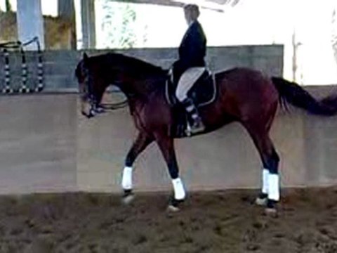 wes fev 2010 pas espagnol monté