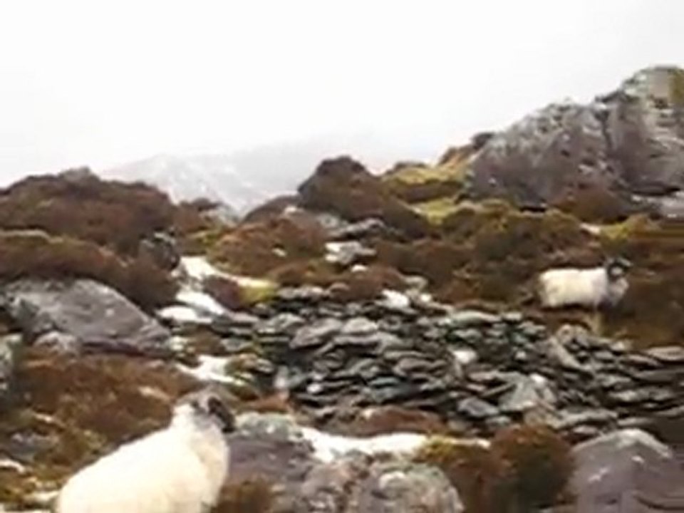 Slievanea mount (3), Dingle, Ireland