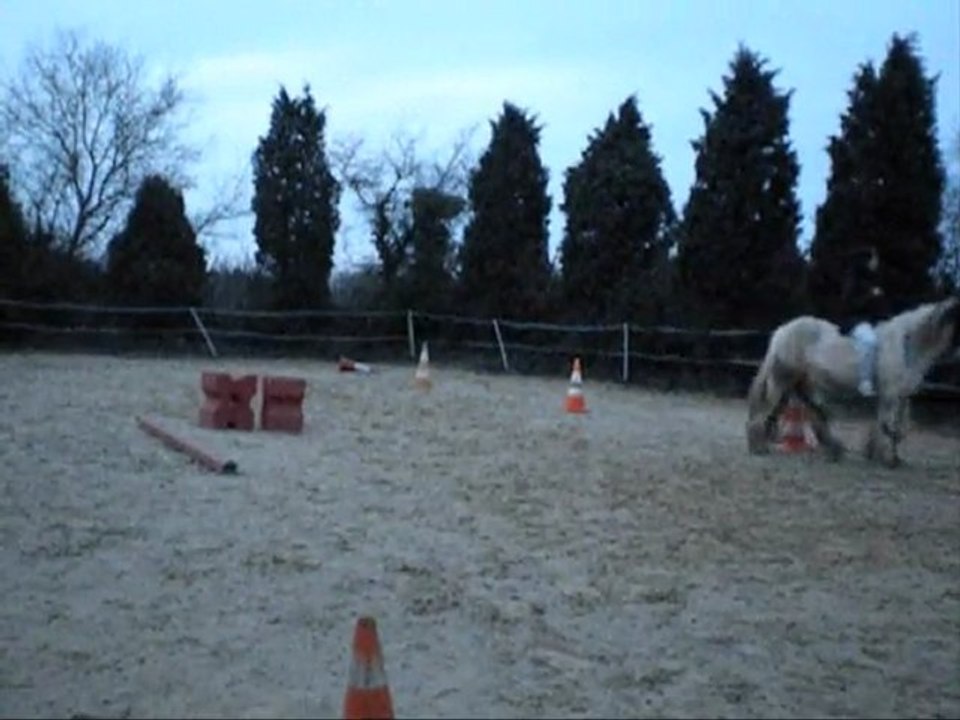 séance le 21 fevrier 2010