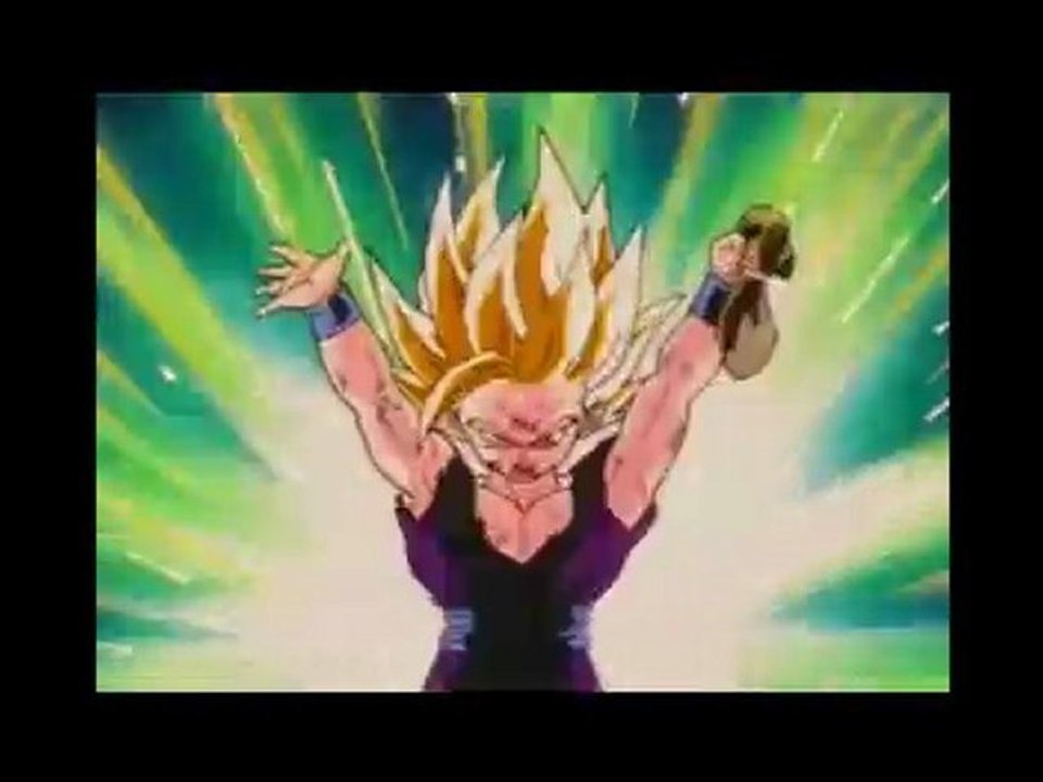 Amv Gohan Cell