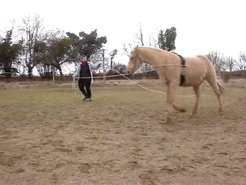 galop ad et à faux