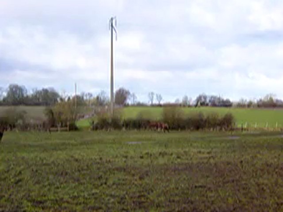MOV06165 Flint qui galope comme une flêche