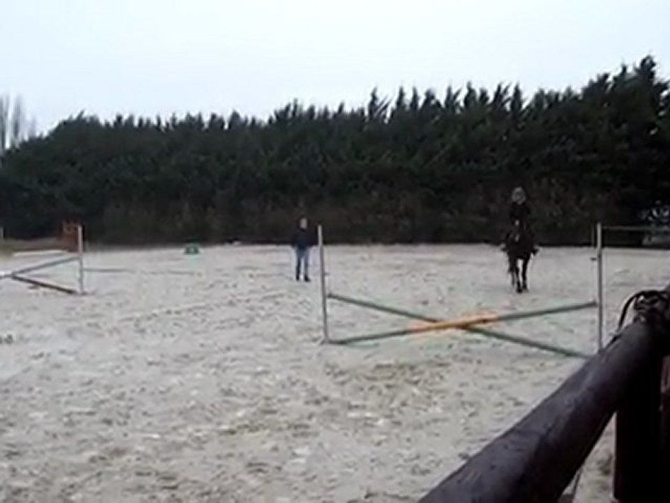 seance du 20 02 10 TROT