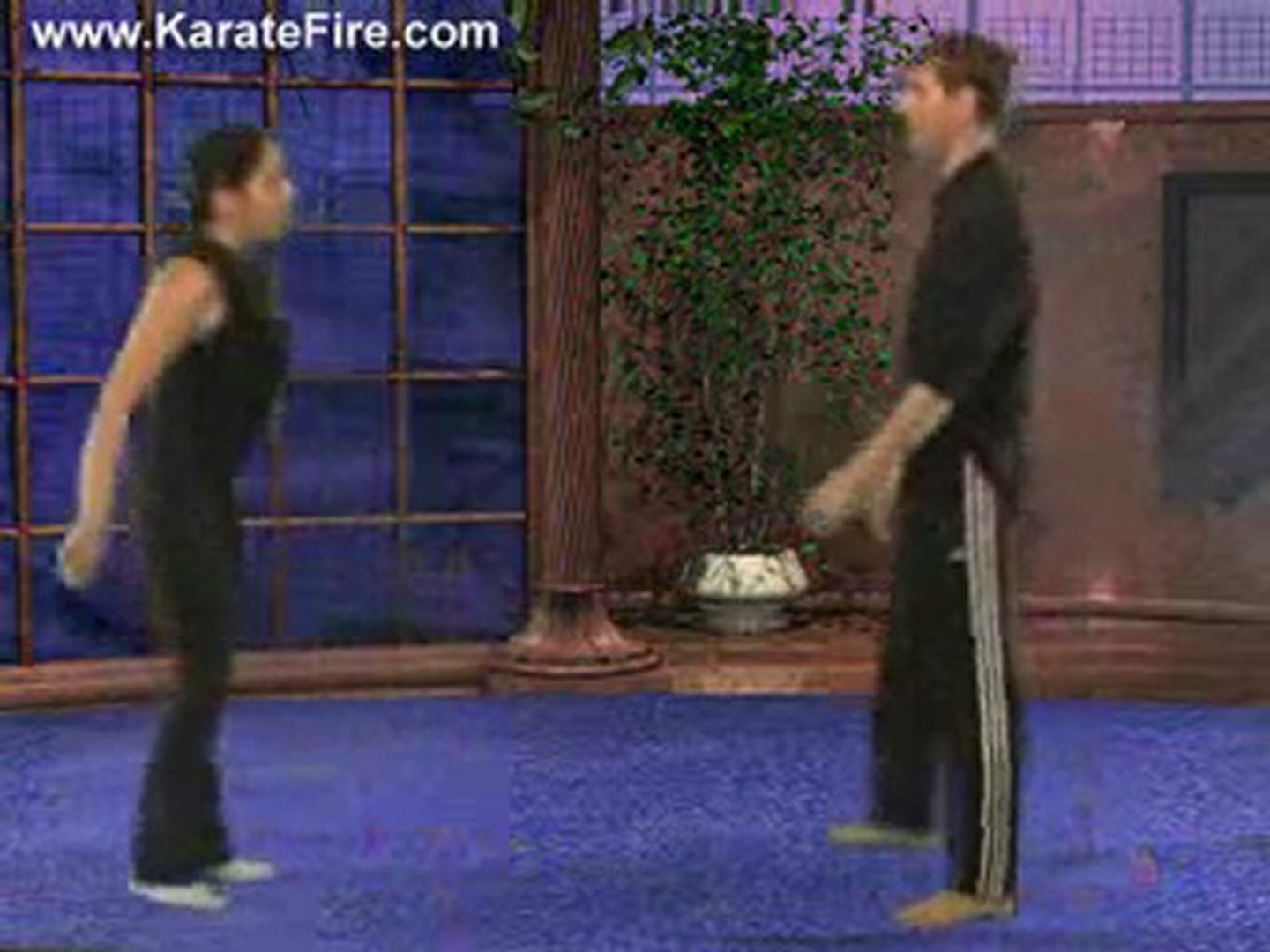 Instructional Kickboxing Workout - KarateFire.com