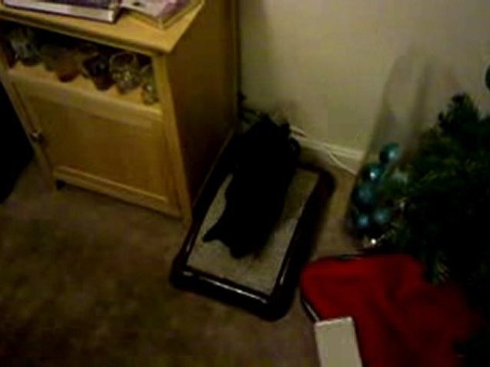 Emery Cat Board