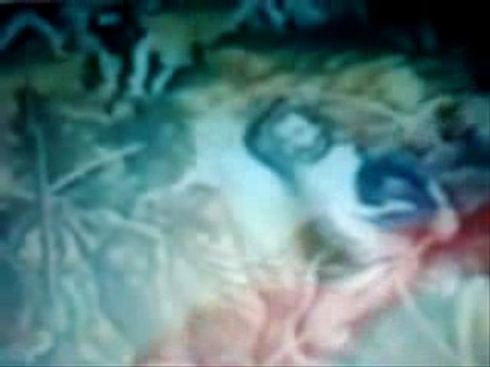 La Dessalinienne- Haitian National Anthem by Michael Jackson