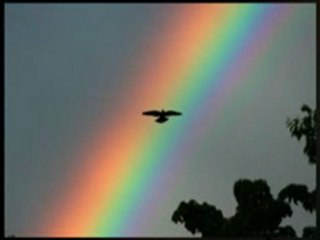 Settle Credit Card Debt