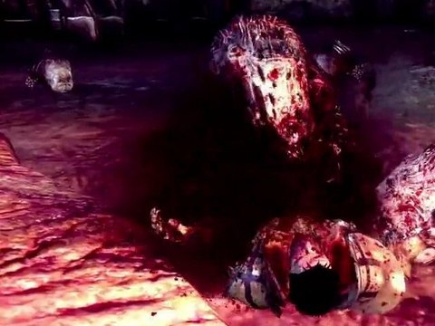 Dragon Age Origins - Awakening - Sigrun